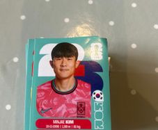 World Cup stickers