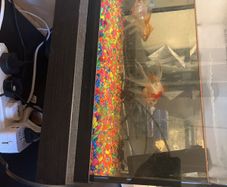 fish tank