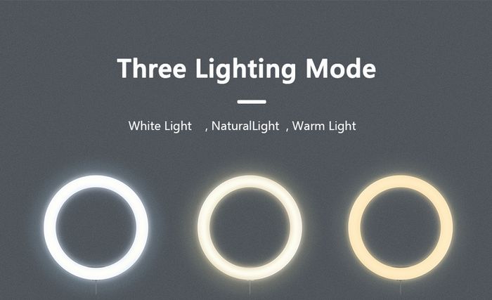 Selfie Ring Light Photography Led Rim Of Lamp with Optional Mobile Holder Mounting Tripod Stand Ringlight For Live Video Stream