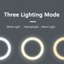 Selfie Ring Light Photography Led Rim Of Lamp with Optional Mobile Holder Mounting Tripod Stand Ringlight For Live Video Stream Image 2