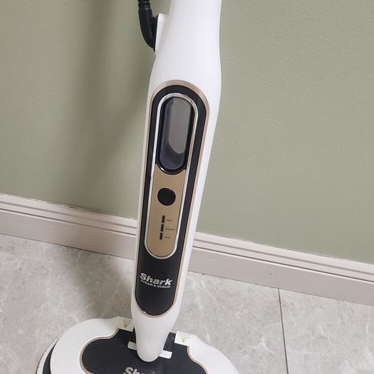 Steam and scrub mop