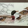 Vintage Cashs Framed Silk Woven Picture Art Mallard Ducks Family Image 2