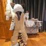 furry mascot fursuit cat long tail chunky legs Image 2