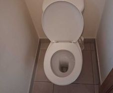 Free - toilet