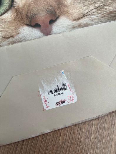 Cat Face Small Gift Bag