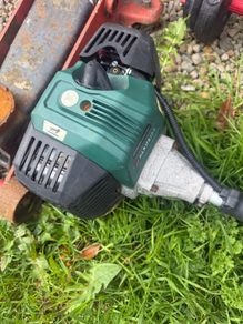 Park side strimmer