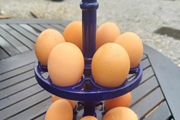 egg stand