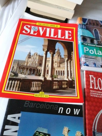 7 Travel books