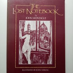 The Lost Notebook - John Montague - John Verling - Mercier Press Book Illustration