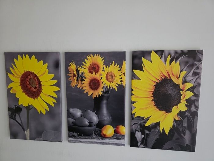 3 canvas framed 35x55cm