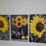 3 canvas framed 35x55cm Image 3