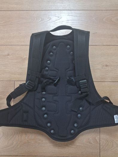 Dainese size Large back protector
