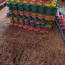 Interlocking play pen soft floor tiles Image 2