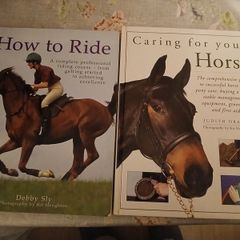 How to Ride and Caring For Your Horse Beginner Equestrian Guide Books