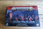 Games Workshop Warhammer Age of Sigmar Blades of Khorne Bloodletters