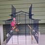 cage Image 3