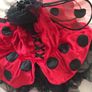 Brand New Ladybird Costume age 2 Image 5