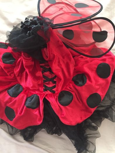 Brand New Ladybird Costume age 2