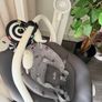 Joie serina 2 in 1 Swing and Rocker Image 3