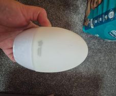 Gro egg room thermometer