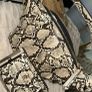 River island bag with matching purse Image 2