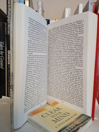 The Official Handbook of the Legion of Mary Published by Concilium Legionis Mariae, 1982  (Irish Edition) (GT105)
