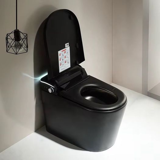 Smart Toilet all in one WC Toilet Bidet