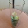 Faux plant vase Image 3