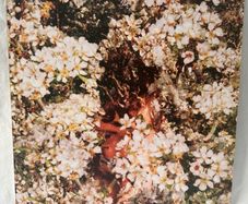 MMOTHS aka Jack Colleran Irish Electronic Vinyl EP1 Vinyl 2012 SQE107
