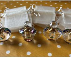 Hen/wedding/party favours