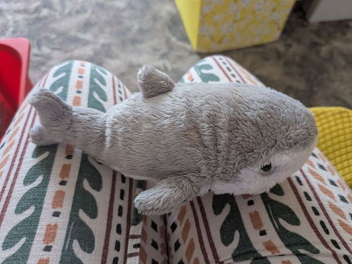 shark teddy