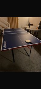 Table Tennis Table