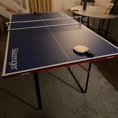 Table Tennis Table