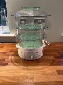 tefal steamer