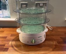 tefal steamer