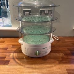 tefal steamer