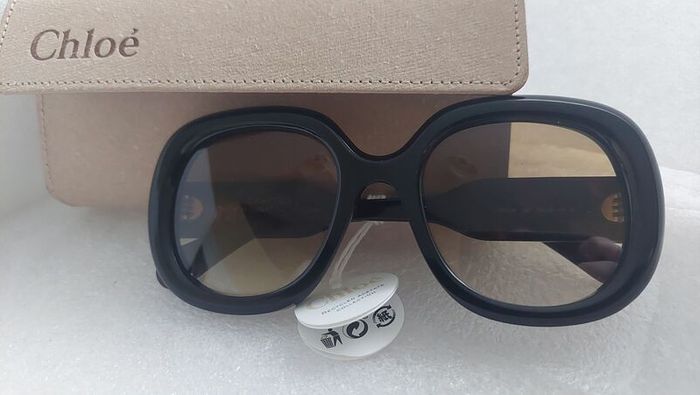 An Unrivalled Investment in High Fashion  The Chloe Gayia