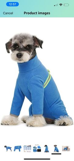 Bear Small Dogs Winter Clothes,Dog Winter Warm Coat Soft Fleece with Reflective Zip Dog Onesie Jumpsuit, Puppy Pet Pajamas Costume Apparel (Blue, L)