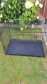 dog cage