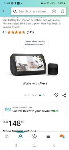 blink camera system inc 2 cameras
