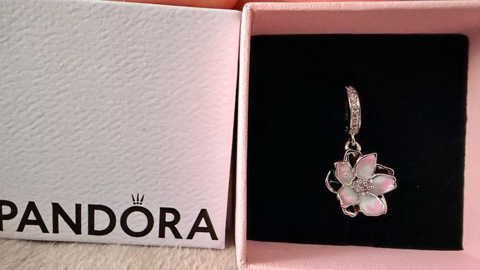 Pandora charm