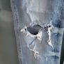 BERSHKA Ripped Skinny Jeans Sz 10UK Image 8