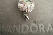 Retired Pandora  Charm