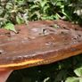 Wooden Heavy African Mask Image 10