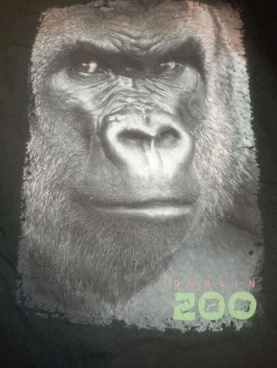 Dublin zoo t shirt size small