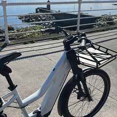 Riese and Muller Multicharger Mixte GT Vario 750 Ebike Premium Family Electric Bike