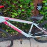 Team MX-26 Mountain Bike Image 2