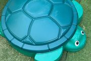 baby sand tub turtle