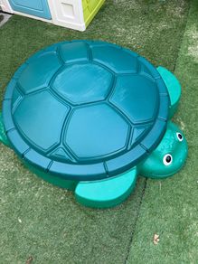 baby sand tub turtle