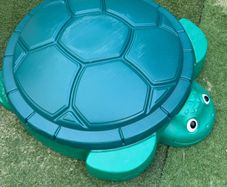 baby sand tub turtle